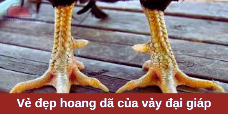 Vảy Đại Giáp