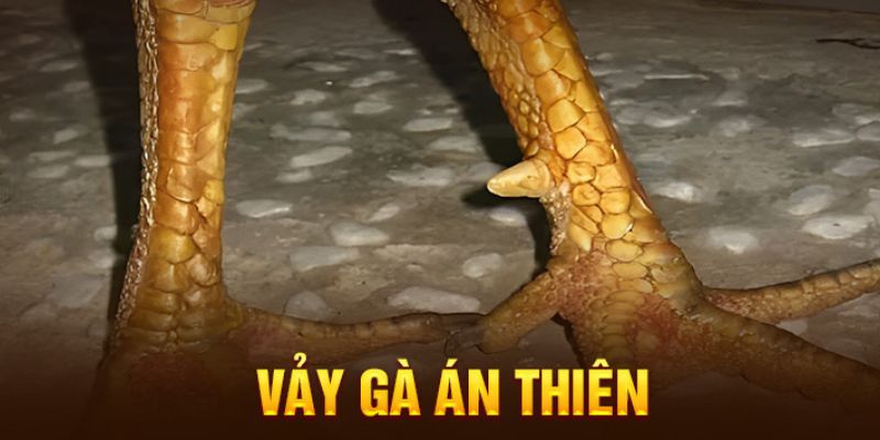 Vảy Án Thiên