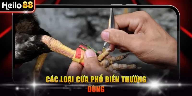 Các loại cửa phổ biến thường dùng