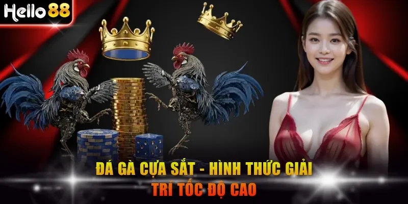 Đá gà cựa sắt - Hình thức giải trí tốc độ cao