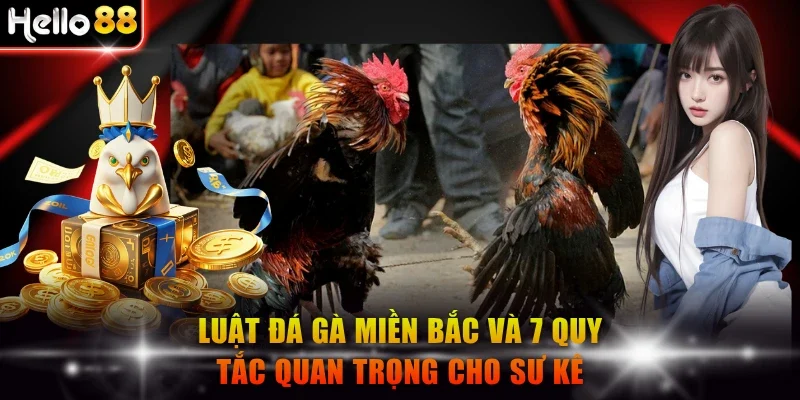 Luật đá gà miền Bắc
