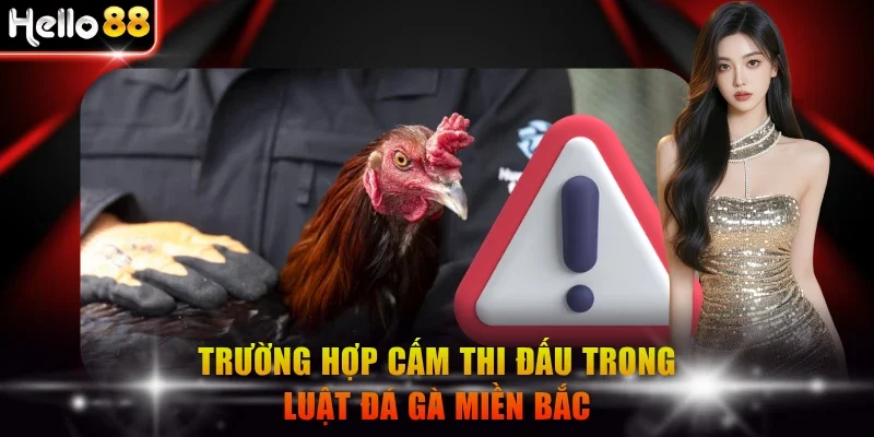 Trường hợp cấm thi đấu trong luật đá gà miền Bắc